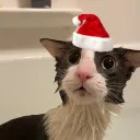 marcominter2010@gmail.com Blank Meme Template