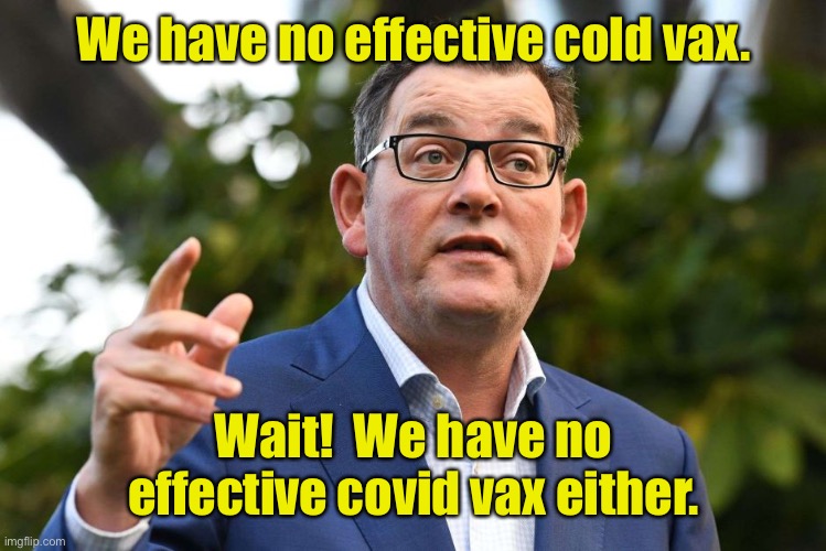 Dan Andrews | We have no effective cold vax. Wait!  We have no effective covid vax either. | image tagged in dan andrews | made w/ Imgflip meme maker