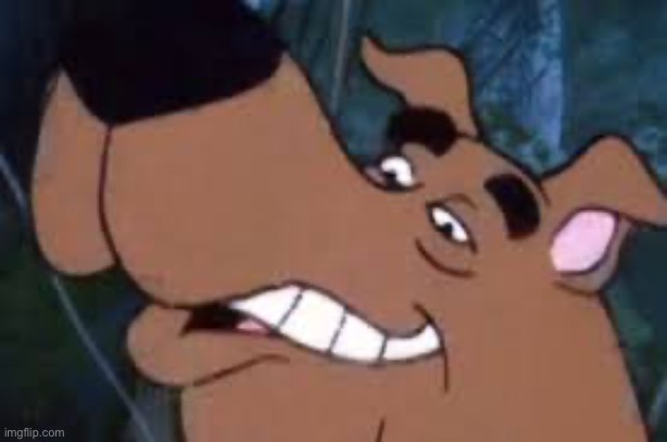 Ruh roh | image tagged in scooby doo | made w/ Imgflip meme maker