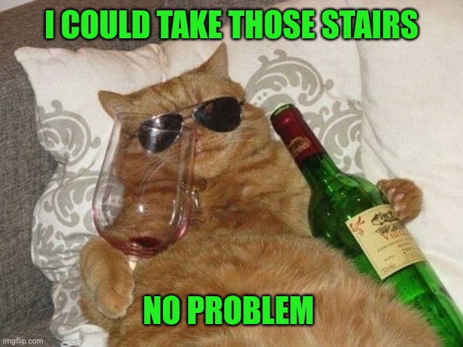drunk cool cat | I COULD TAKE THOSE STAIRS NO PROBLEM | image tagged in drunk cool cat | made w/ Imgflip meme maker