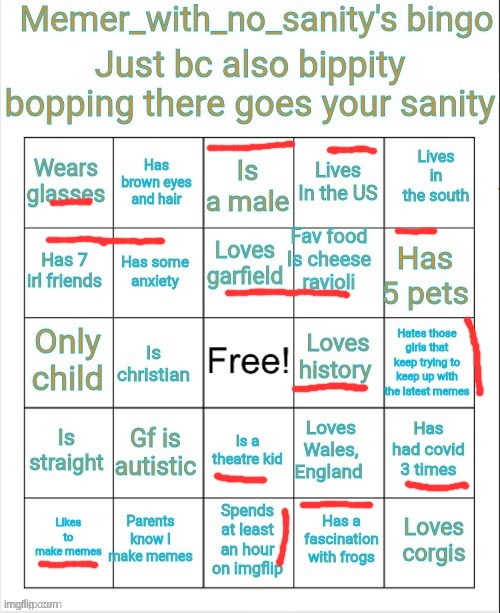 Memer_with_no_sanity's bingo | image tagged in memer_with_no_sanity's bingo | made w/ Imgflip meme maker