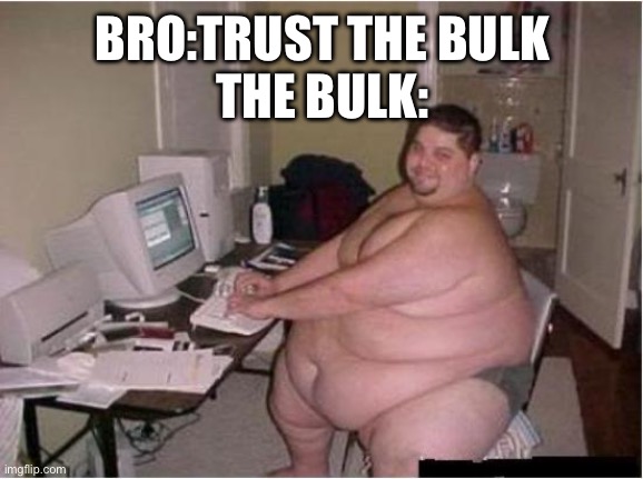 really fat guy on computer | BRO:TRUST THE BULK
THE BULK: | image tagged in really fat guy on computer,fat,gym | made w/ Imgflip meme maker