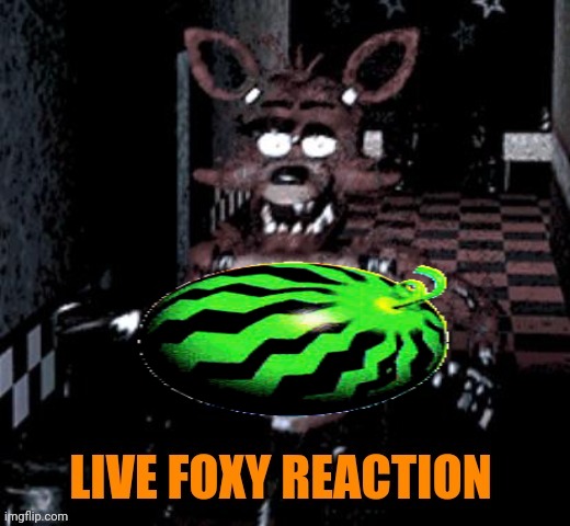 Live foxy reaction | image tagged in live foxy reaction | made w/ Imgflip meme maker