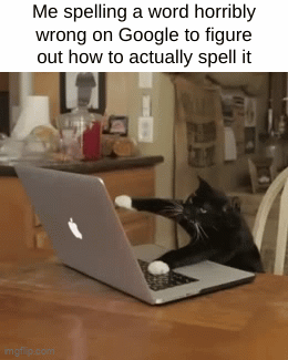Does anyone else do this? | Me spelling a word horribly wrong on Google to figure out how to actually spell it | image tagged in gifs,funny,memes,google,relatable | made w/ Imgflip video-to-gif maker