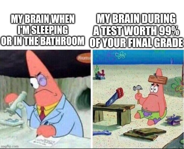 Smart Patrick Dumb Patrick | MY BRAIN DURING A TEST WORTH 99% OF YOUR FINAL GRADE; MY BRAIN WHEN I'M SLEEPING OR IN THE BATHROOM | image tagged in smart patrick dumb patrick | made w/ Imgflip meme maker