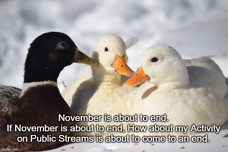 I may return to Public Streams when 2024 Begins | November is about to end.
If November is about to end, How about my Activity on Public Streams is about to come to an end. | image tagged in dunkin ducks | made w/ Imgflip meme maker