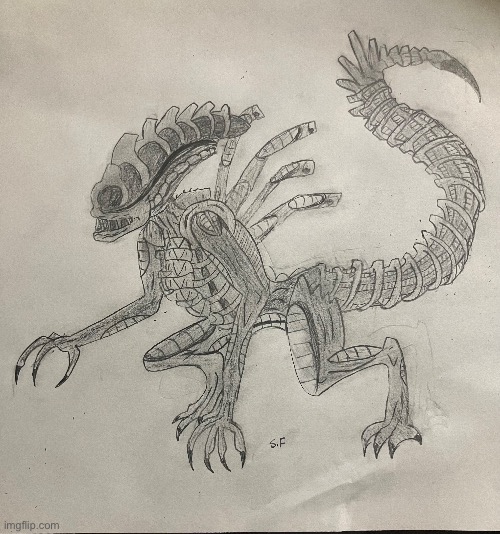 I drew a-what's-supposed-to-be warrior Xenomorph. I'm not sure I drew the right one though, lol | image tagged in cool,drawing | made w/ Imgflip meme maker