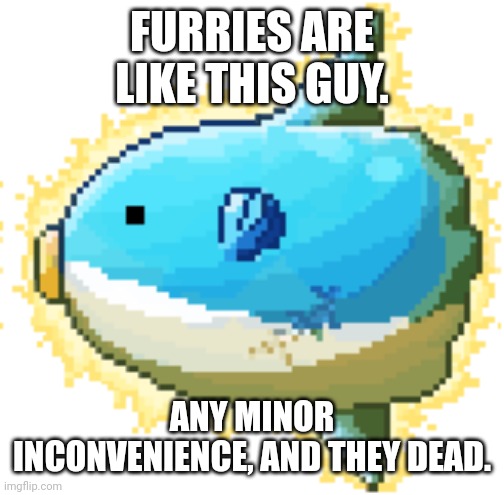 Furries Are As Mentally Frail As This Guy. (If You Know, You Know) | FURRIES ARE LIKE THIS GUY. ANY MINOR INCONVENIENCE, AND THEY DEAD. | image tagged in beeg feesh | made w/ Imgflip meme maker