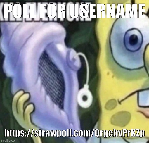 Spongebob kill everyone | POLL FOR USERNAME; https://strawpoll.com/QrgebvPrKZp | image tagged in spongebob kill everyone | made w/ Imgflip meme maker