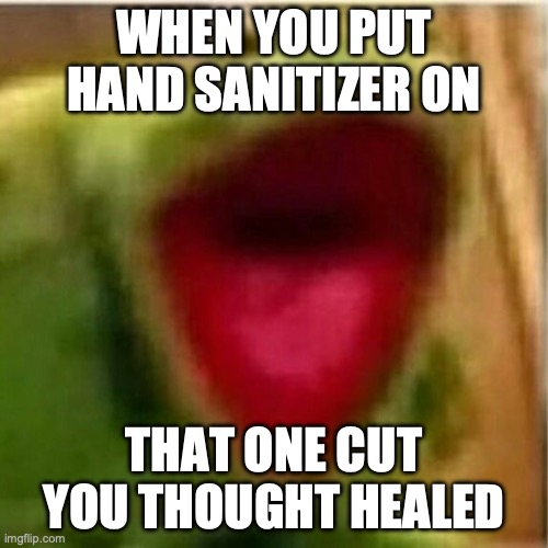 It always happens to everybody :( | WHEN YOU PUT HAND SANITIZER ON; THAT ONE CUT YOU THOUGHT HEALED | image tagged in ahhhhhhhhhhhhh,pain,cut | made w/ Imgflip meme maker