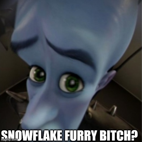 Megamind peeking | SNOWFLAKE FURRY BITCH? | image tagged in megamind peeking | made w/ Imgflip meme maker