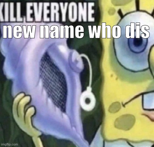 Spongebob kill everyone | new name who dis | image tagged in spongebob kill everyone | made w/ Imgflip meme maker