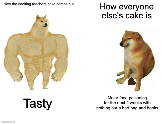School sucks so bad | How the cooking teachers cake comes out; How everyone else's cake is; Tasty; Major food poisoning for the next 2 weeks with nothing but a barf bag and books | image tagged in memes,buff doge vs cheems | made w/ Imgflip meme maker