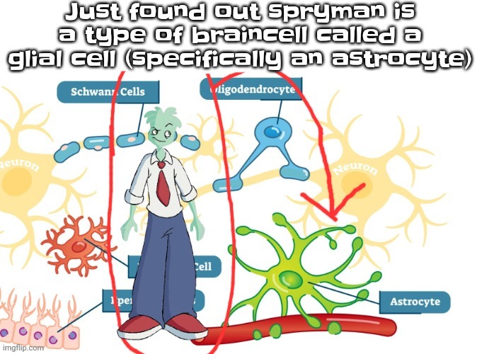 Yeah | Just found out spryman is a type of braincell called a glial cell (specifically an astrocyte) | made w/ Imgflip meme maker