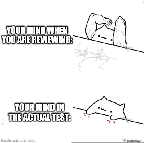 Its exam week so why dont i make memes bout the currebr situation? | YOUR MIND WHEN YOU ARE REVIEWING:; YOUR MIND IN THE ACTUAL TEST: | image tagged in bongo cat strong | made w/ Imgflip meme maker