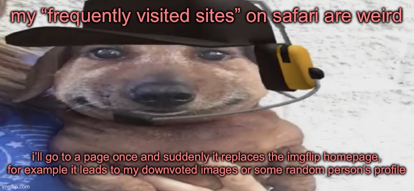 It’s stuck on Ame’s profile as of now | my “frequently visited sites” on safari are weird; i’ll go to a page once and suddenly it replaces the imgflip homepage, for example it leads to my downvoted images or some random person’s profile | image tagged in chucklenuts | made w/ Imgflip meme maker