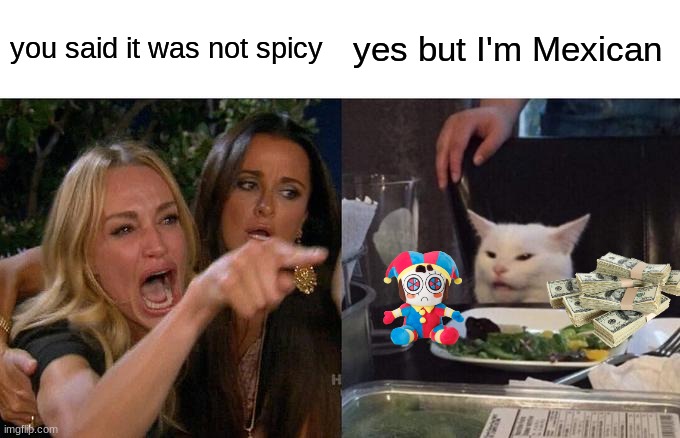 Woman Yelling At Cat Meme | you said it was not spicy; yes but I'm Mexican | image tagged in memes,woman yelling at cat | made w/ Imgflip meme maker