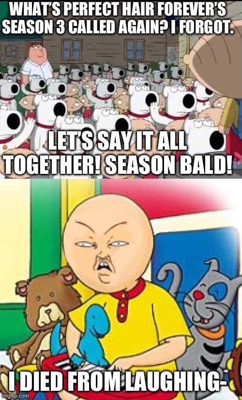 What is Season Bald again? | WHAT’S PERFECT HAIR FOREVER’S SEASON 3 CALLED AGAIN? I FORGOT. LET’S SAY IT ALL TOGETHER! SEASON BALD! I DIED FROM LAUGHING- | image tagged in caillou,perfect hair forever,family guy | made w/ Imgflip meme maker