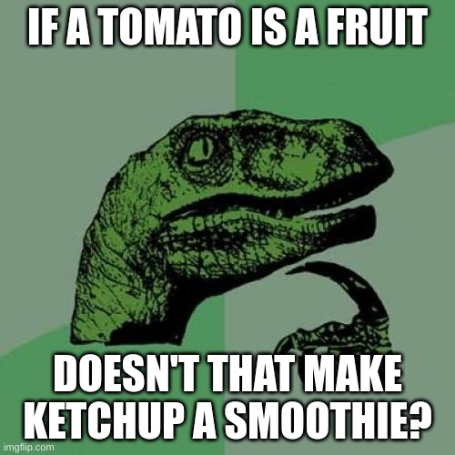 I am the no brain cells b*tch | IF A TOMATO IS A FRUIT; DOESN'T THAT MAKE KETCHUP A SMOOTHIE? | image tagged in memes,philosoraptor | made w/ Imgflip meme maker
