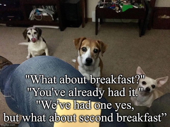 Lord of the Things | "What about breakfast?"
"You've already had it."
"We've had one yes, but what about second breakfast” | image tagged in 3 beggers,lord of the rings,pippin second breakfast,second breakfast | made w/ Imgflip meme maker