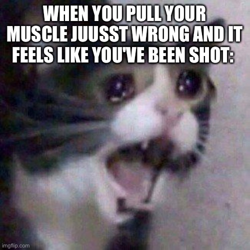 Anyone understand? | WHEN YOU PULL YOUR MUSCLE JUUSST WRONG AND IT FEELS LIKE YOU'VE BEEN SHOT: | image tagged in cat screaming | made w/ Imgflip meme maker