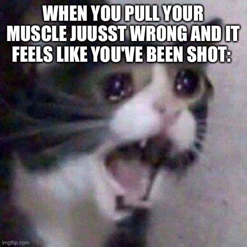 Get it? | WHEN YOU PULL YOUR MUSCLE JUUSST WRONG AND IT FEELS LIKE YOU'VE BEEN SHOT: | image tagged in cat screaming | made w/ Imgflip meme maker