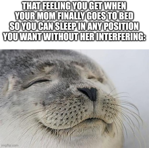 Or sit on your phone | THAT FEELING YOU GET WHEN YOUR MOM FINALLY GOES TO BED SO YOU CAN SLEEP IN ANY POSITION YOU WANT WITHOUT HER INTERFERING: | image tagged in memes,satisfied seal | made w/ Imgflip meme maker