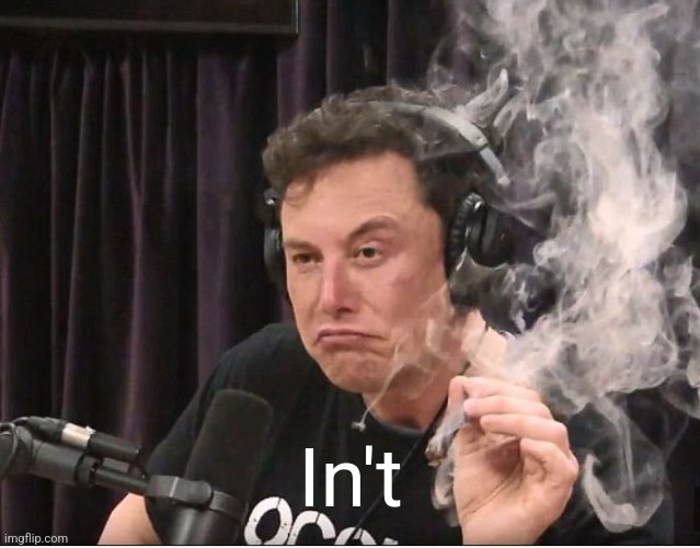 Elon Musk smoking a joint | In't | image tagged in elon musk smoking a joint | made w/ Imgflip meme maker