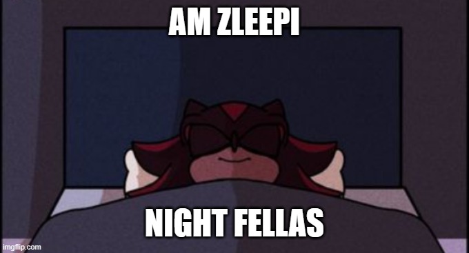 honk mimimimimi | AM ZLEEPI; NIGHT FELLAS | made w/ Imgflip meme maker