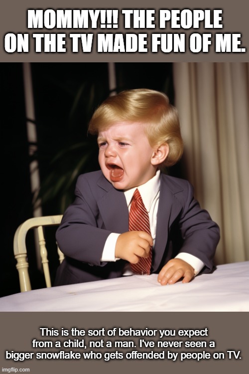Before this kid got ahold of cheetos. | MOMMY!!! THE PEOPLE ON THE TV MADE FUN OF ME. This is the sort of behavior you expect from a child, not a man. I've never seen a bigger snowflake who gets offended by people on TV. | image tagged in barnum effect,bias,321 | made w/ Imgflip meme maker