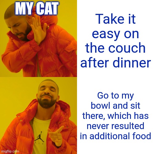 Didn't work last 10 years, ???, profit | MY CAT; Take it easy on the couch after dinner; Go to my bowl and sit there, which has never resulted in additional food | image tagged in memes,drake hotline bling,so you're saying there's a chance,cats | made w/ Imgflip meme maker