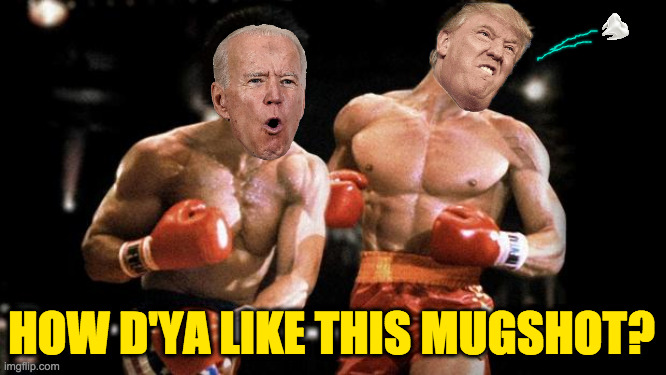 If the Presidency was decided by boxing. | HOW D'YA LIKE THIS MUGSHOT? | image tagged in rocky iv,memes,biden dds | made w/ Imgflip meme maker