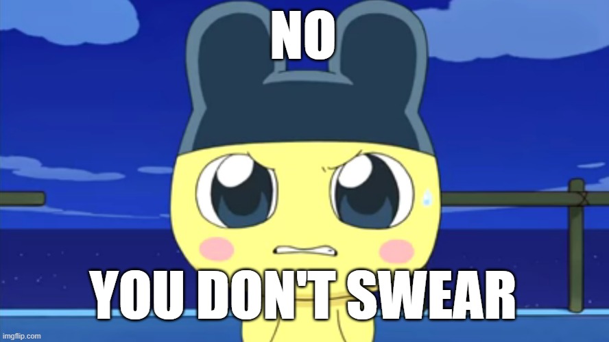 Do not swear! | NO; YOU DON'T SWEAR | image tagged in angry mametchi | made w/ Imgflip meme maker