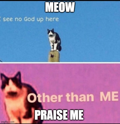 I see no god up here other than me | MEOW; PRAISE ME | image tagged in i see no god up here other than me | made w/ Imgflip meme maker