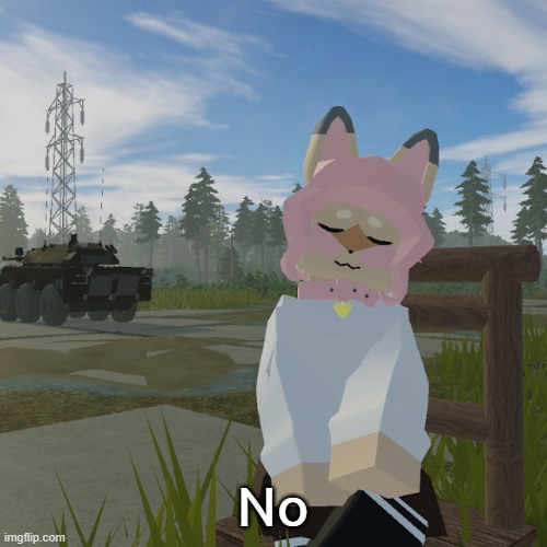 Hazel | No | image tagged in hazel | made w/ Imgflip meme maker