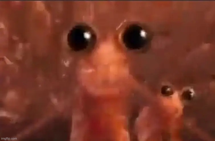 image tagged in krill | made w/ Imgflip meme maker