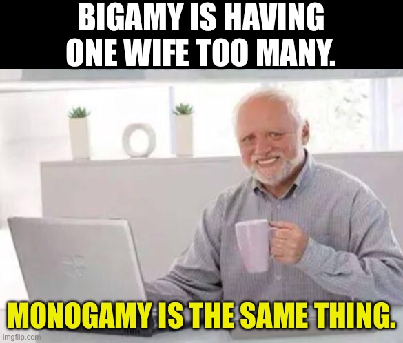 Marriage | BIGAMY IS HAVING ONE WIFE TOO MANY. MONOGAMY IS THE SAME THING. | image tagged in harold | made w/ Imgflip meme maker