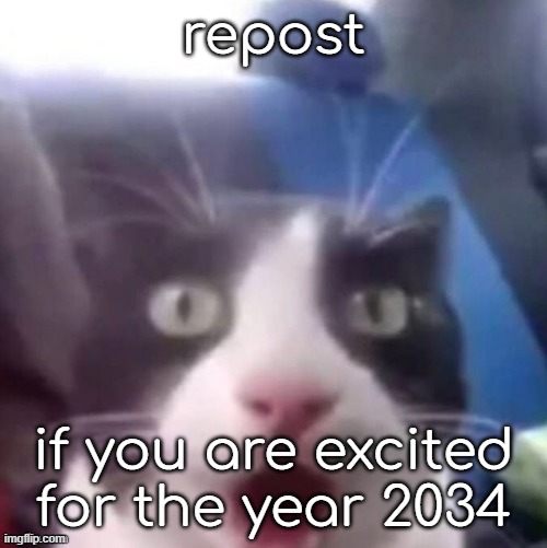 cat shocked | repost; if you are excited for the year 2034 | image tagged in cat shocked | made w/ Imgflip meme maker