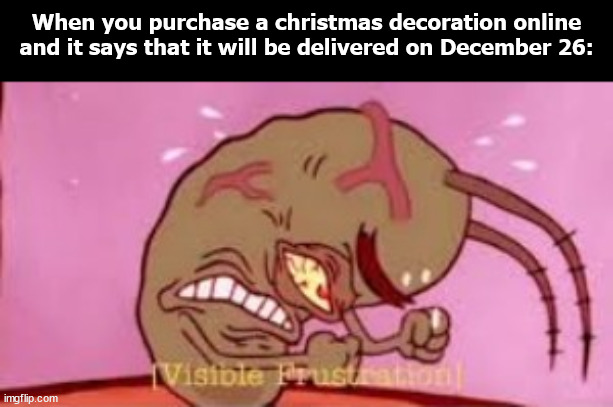 ._. | When you purchase a christmas decoration online and it says that it will be delivered on December 26: | image tagged in visible frustration | made w/ Imgflip meme maker