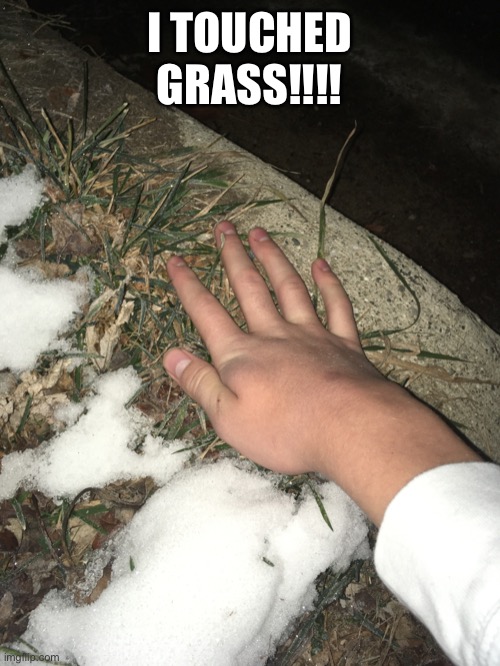 I TOUCHED GRASS!!!! | image tagged in grass,touch grass | made w/ Imgflip meme maker