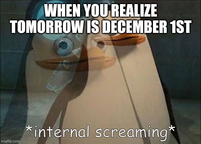 last month of the year | WHEN YOU REALIZE TOMORROW IS DECEMBER 1ST | image tagged in private internal screaming | made w/ Imgflip meme maker