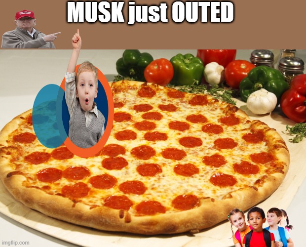 conspiracy theroy ELON prepares for more gov. investigation's to try & shut him up | MUSK just OUTED | image tagged in nwo,democrats,psychopaths and serial killers,pedophiles,coming out pizza | made w/ Imgflip meme maker