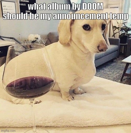 Homophobic Dog | what album by DOOM should be my announcement temp | image tagged in homophobic dog | made w/ Imgflip meme maker