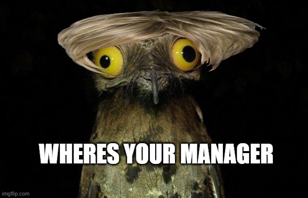 Weird Stuff I Do Potoo Meme | WHERES YOUR MANAGER | image tagged in memes,weird stuff i do potoo | made w/ Imgflip meme maker