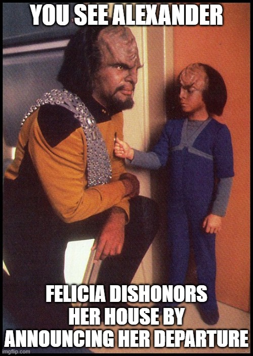 Worf - Bye Felicia | YOU SEE ALEXANDER; FELICIA DISHONORS HER HOUSE BY ANNOUNCING HER DEPARTURE | image tagged in worf alexander star trek the next generation tng,bye felicia | made w/ Imgflip meme maker