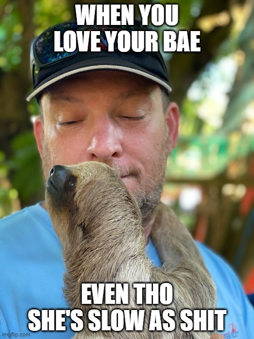 Holding Sloth | WHEN YOU LOVE YOUR BAE; EVEN THO SHE'S SLOW AS SHIT | image tagged in holding sloth | made w/ Imgflip meme maker