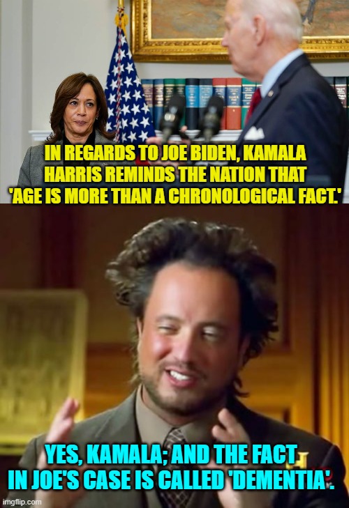 Joe's brain is well past its 'sell by' date. | IN REGARDS TO JOE BIDEN, KAMALA HARRIS REMINDS THE NATION THAT 'AGE IS MORE THAN A CHRONOLOGICAL FACT.'; YES, KAMALA; AND THE FACT IN JOE'S CASE IS CALLED 'DEMENTIA'. | image tagged in yep | made w/ Imgflip meme maker
