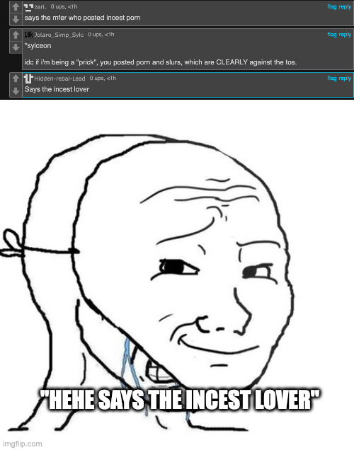 you idiots, i was making fun of people who make that shit clearly. | "HEHE SAYS THE INCEST LOVER" | image tagged in crying wojak mask | made w/ Imgflip meme maker