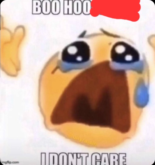 boo hoo I don't care | image tagged in boo hoo i don't care | made w/ Imgflip meme maker