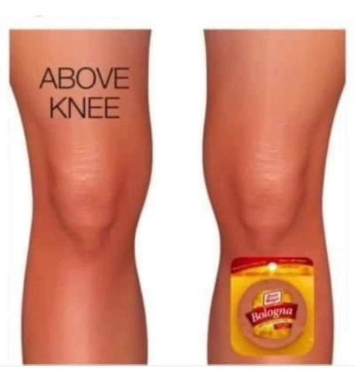 Below knee | image tagged in bologna,knee,kewlew | made w/ Imgflip meme maker